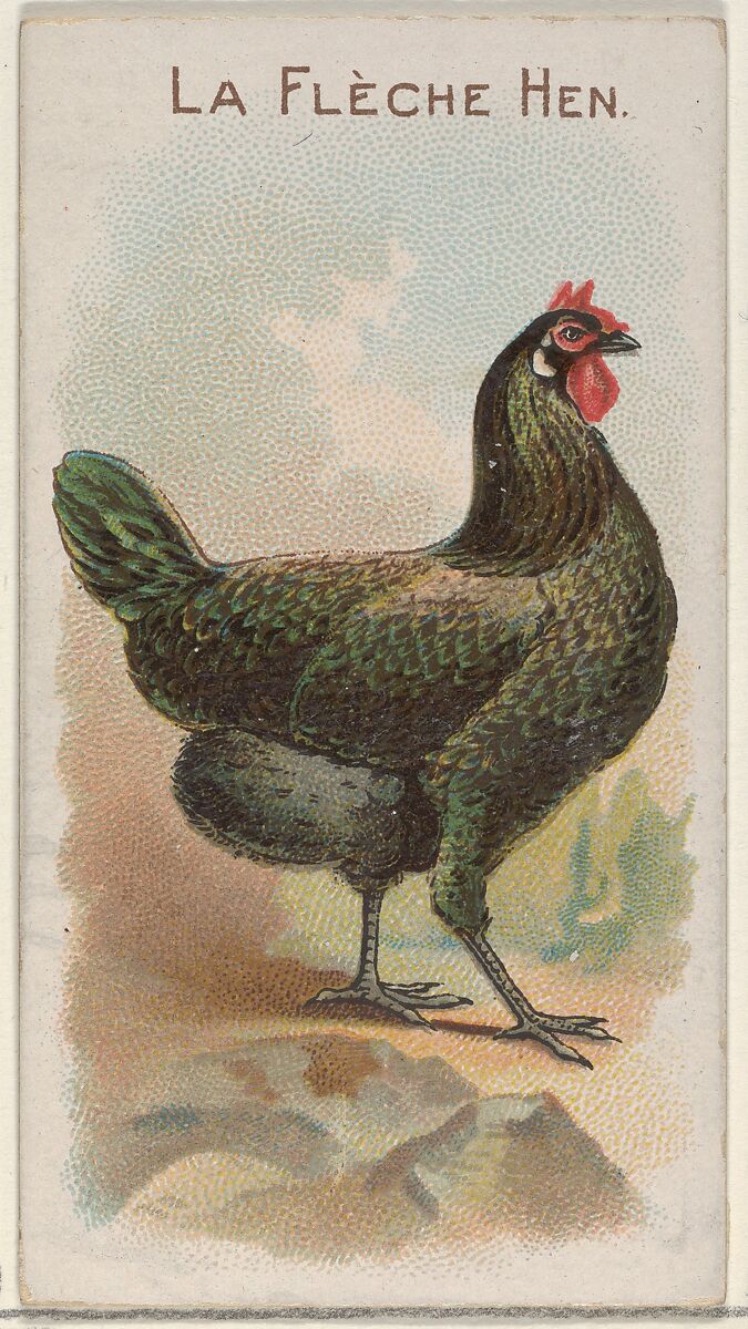 La Flèche Hen, from the Prize and Game Chickens series (N20) for Allen & Ginter Cigarettes, Allen &amp; Ginter (American, Richmond, Virginia), Commercial color lithograph 