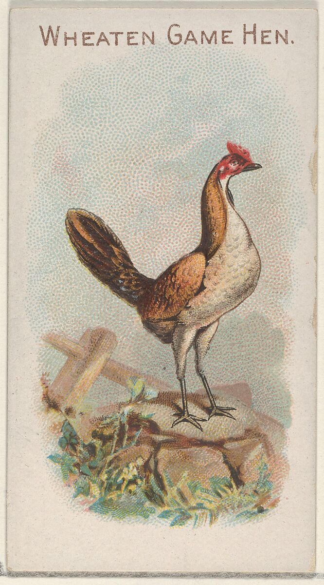 Wheaten Game Hen, from the Prize and Game Chickens series (N20) for Allen & Ginter Cigarettes, Allen &amp; Ginter (American, Richmond, Virginia), Commercial color lithograph 