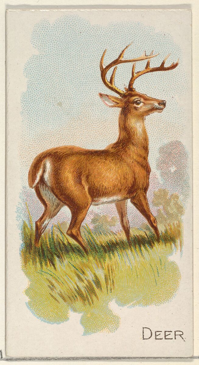 Deer, from the Quadrupeds series (N21) for Allen & Ginter Cigarettes, Allen &amp; Ginter (American, Richmond, Virginia), Commercial color lithograph 