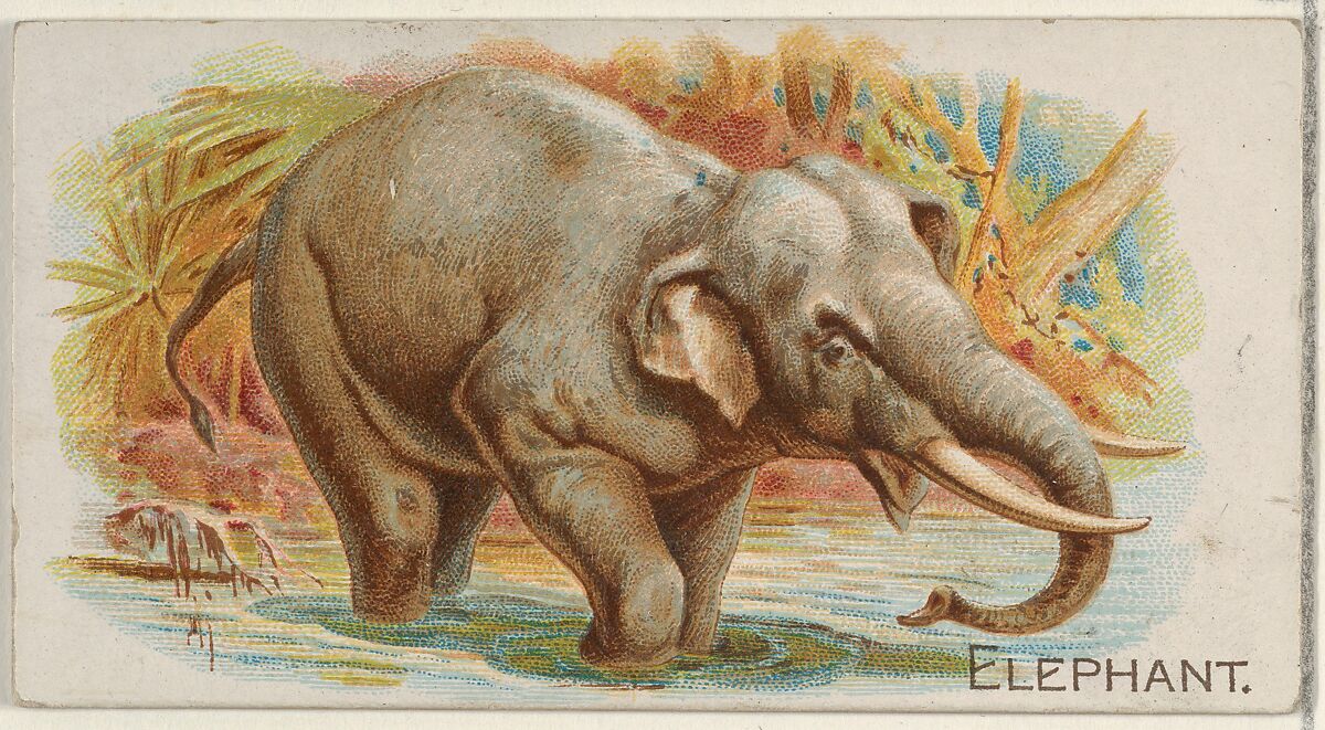 Elephant, from the Quadrupeds series (N21) for Allen & Ginter Cigarettes, Allen &amp; Ginter (American, Richmond, Virginia), Commercial color lithograph 