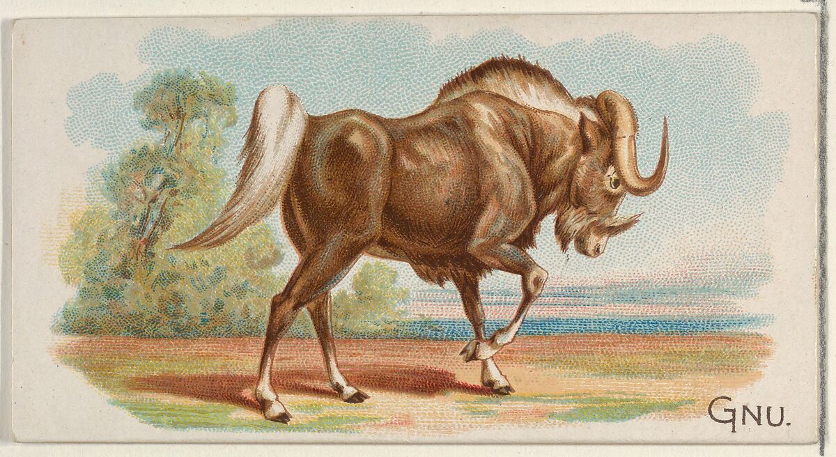 Gnu, from the Quadrupeds series (N21) for Allen & Ginter Cigarettes, Allen &amp; Ginter (American, Richmond, Virginia), Commercial color lithograph 