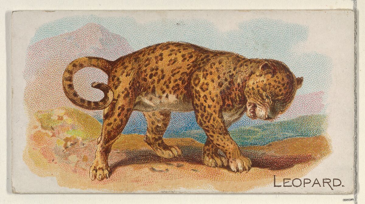 Leopard, from the Quadrupeds series (N21) for Allen & Ginter Cigarettes, Allen &amp; Ginter (American, Richmond, Virginia), Commercial color lithograph 