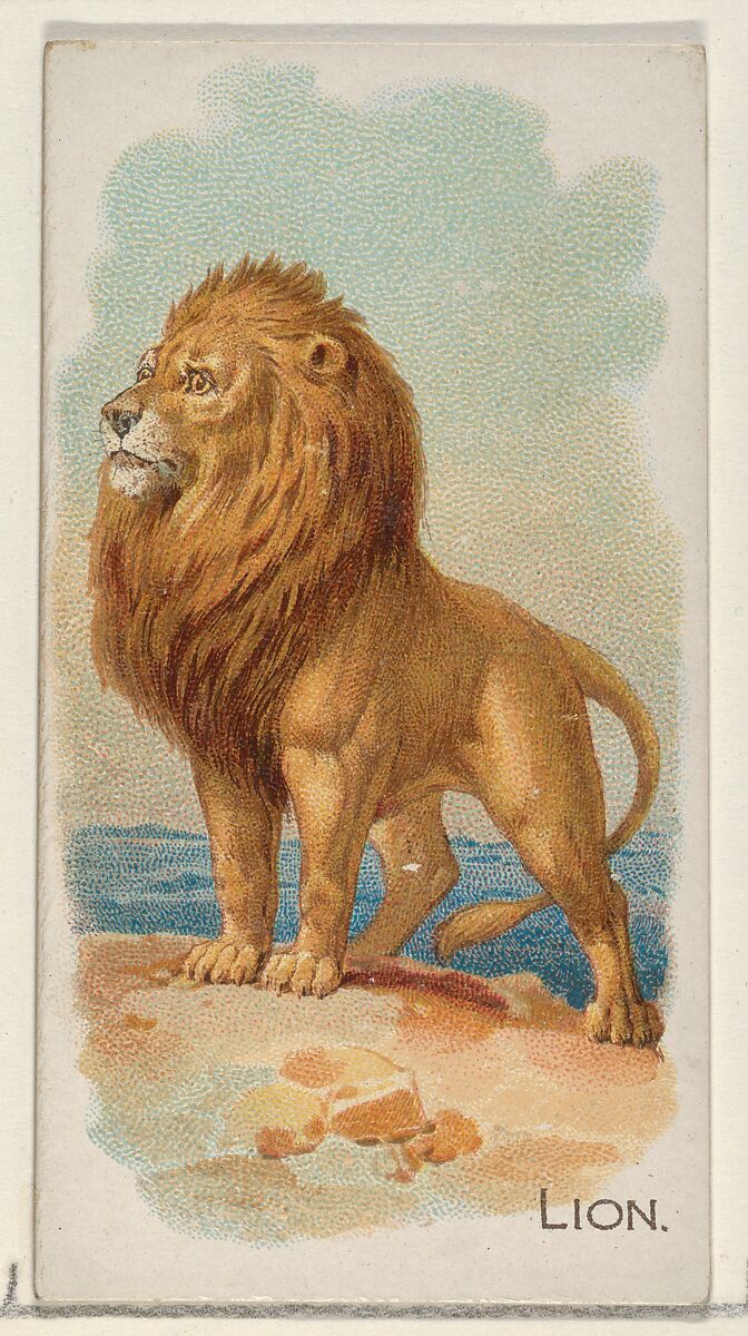 Lion, from the Quadrupeds series (N21) for Allen & Ginter Cigarettes, Allen &amp; Ginter (American, Richmond, Virginia), Commercial color lithograph 