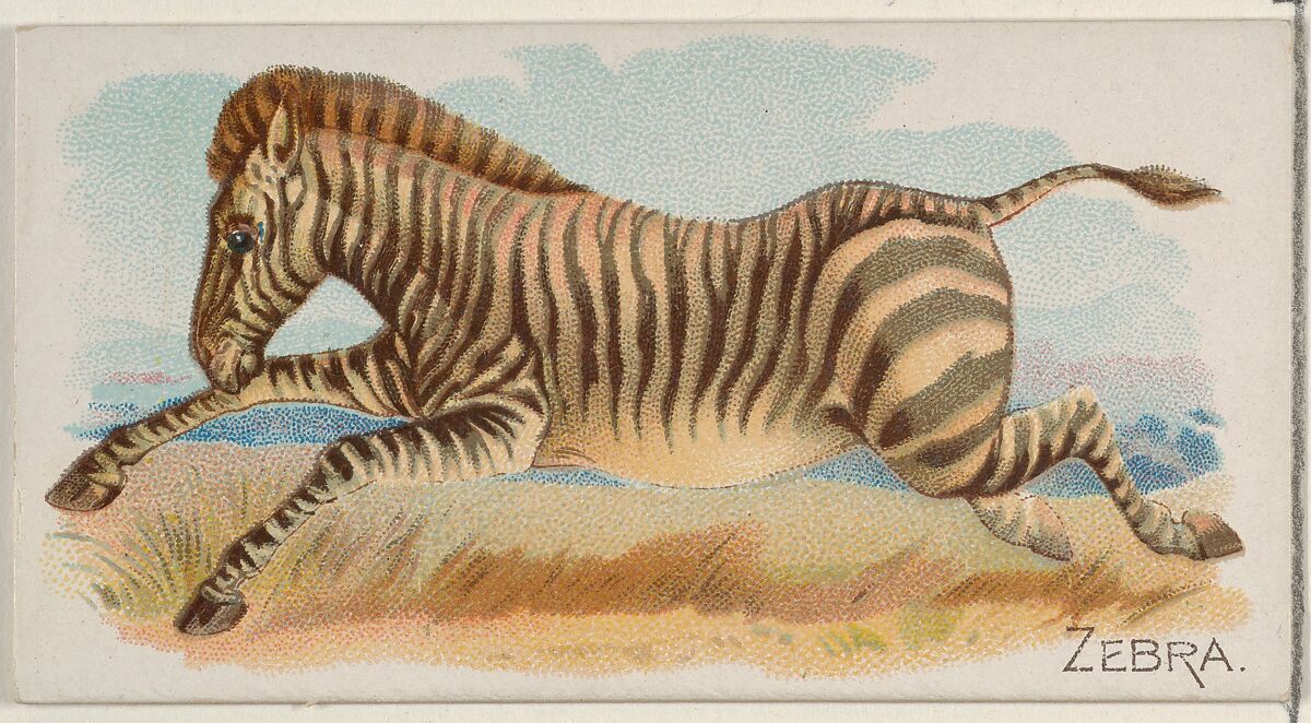 Zebra, from the Quadrupeds series (N21) for Allen & Ginter Cigarettes, Allen &amp; Ginter (American, Richmond, Virginia), Commercial color lithograph 