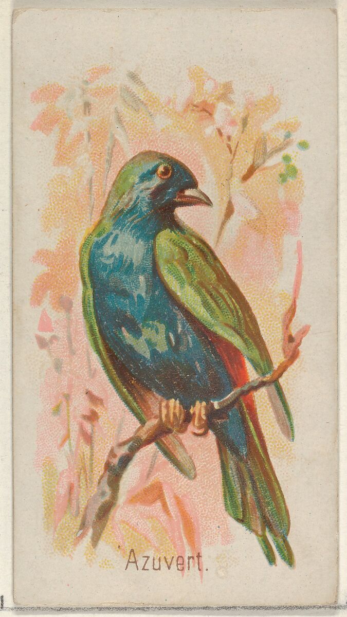 Azuvert, from the Song Birds of the World series (N23) for Allen & Ginter Cigarettes, Allen &amp; Ginter (American, Richmond, Virginia), Commercial color lithograph 