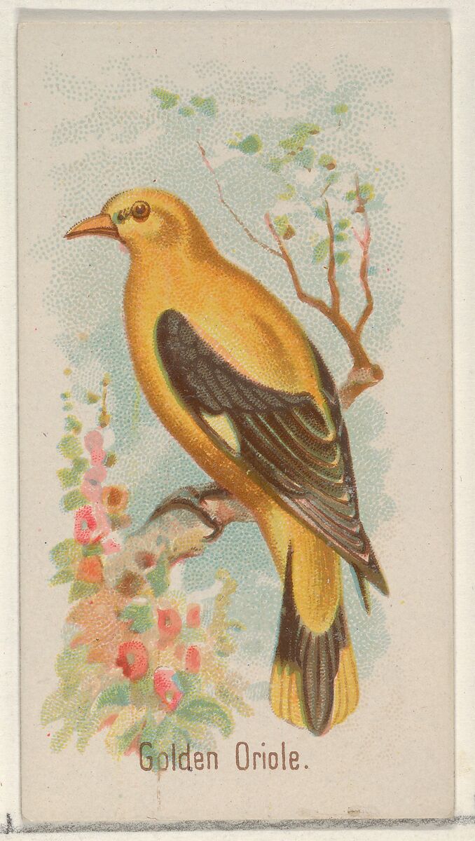 Golden Oride, from the Song Birds of the World series (N23) for Allen & Ginter Cigarettes, Allen &amp; Ginter (American, Richmond, Virginia), Commercial color lithograph 