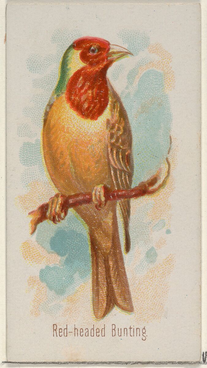 Red-headed Bunting, from the Song Birds of the World series (N23) for Allen & Ginter Cigarettes, Allen &amp; Ginter (American, Richmond, Virginia), Commercial color lithograph 