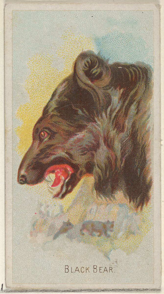Black Bear, from the Wild Animals of the World series (N25) for Allen & Ginter Cigarettes, Allen &amp; Ginter (American, Richmond, Virginia), Commercial color lithograph 