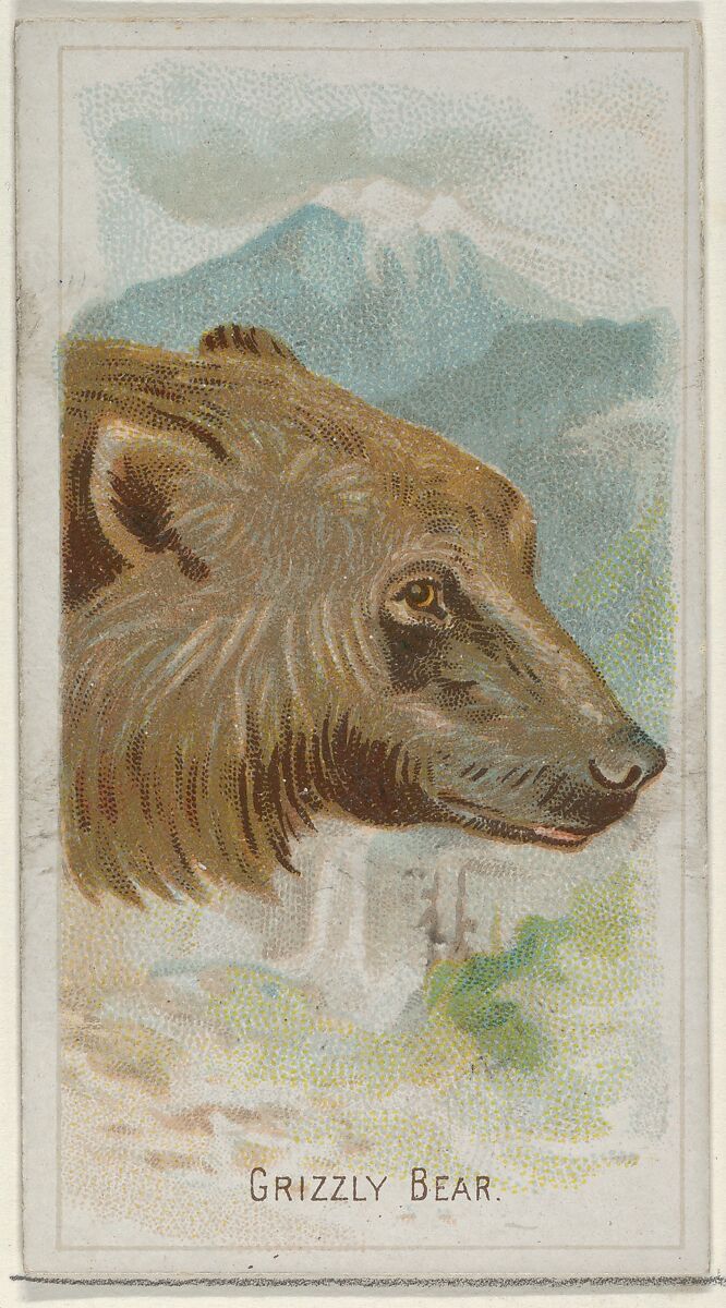 Grizzly Bear, from the Wild Animals of the World series (N25) for Allen & Ginter Cigarettes, Allen &amp; Ginter (American, Richmond, Virginia), Commercial color lithograph 