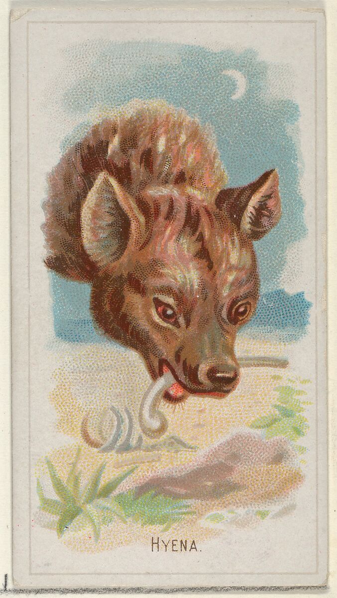 Hyena, from the Wild Animals of the World series (N25) for Allen & Ginter Cigarettes, Allen &amp; Ginter (American, Richmond, Virginia), Commercial color lithograph 