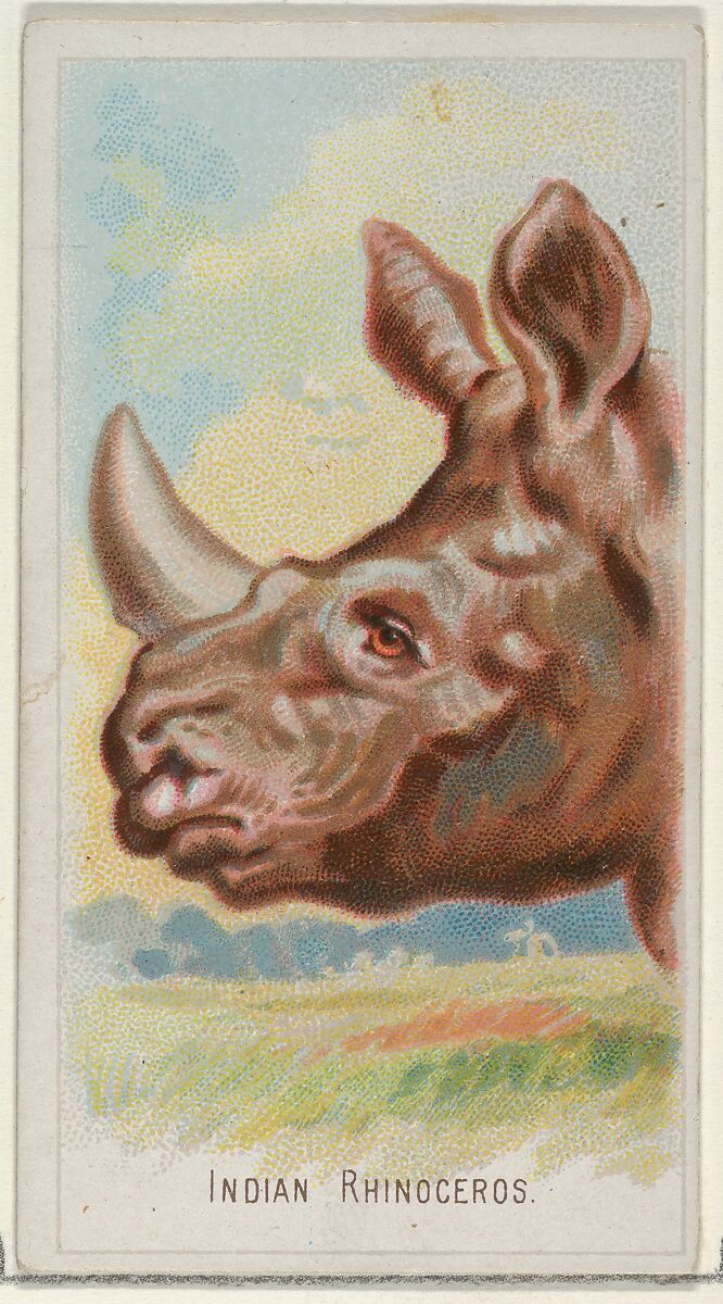 Indian Rhinoceros, from the Wild Animals of the World series (N25) for Allen & Ginter Cigarettes, Allen &amp; Ginter (American, Richmond, Virginia), Commercial color lithograph 
