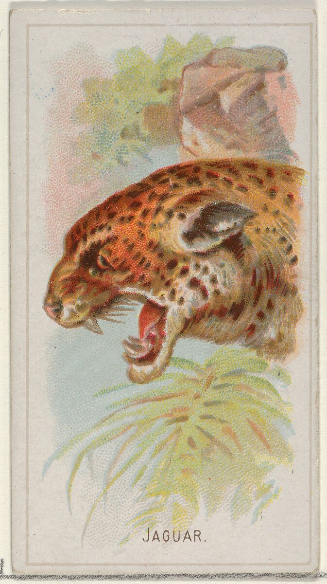 Jaguar, from the Wild Animals of the World series (N25) for Allen & Ginter Cigarettes, Allen &amp; Ginter (American, Richmond, Virginia), Commercial color lithograph 