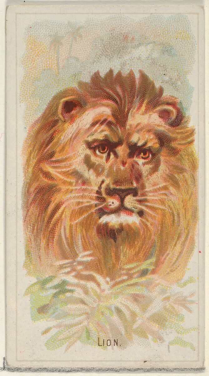 Lion, from the Wild Animals of the World series (N25) for Allen & Ginter Cigarettes, Allen &amp; Ginter (American, Richmond, Virginia), Commercial color lithograph 