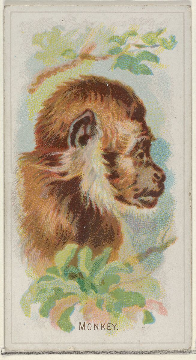 Monkey, from the Wild Animals of the World series (N25) for Allen & Ginter Cigarettes, Allen &amp; Ginter (American, Richmond, Virginia), Commercial color lithograph 