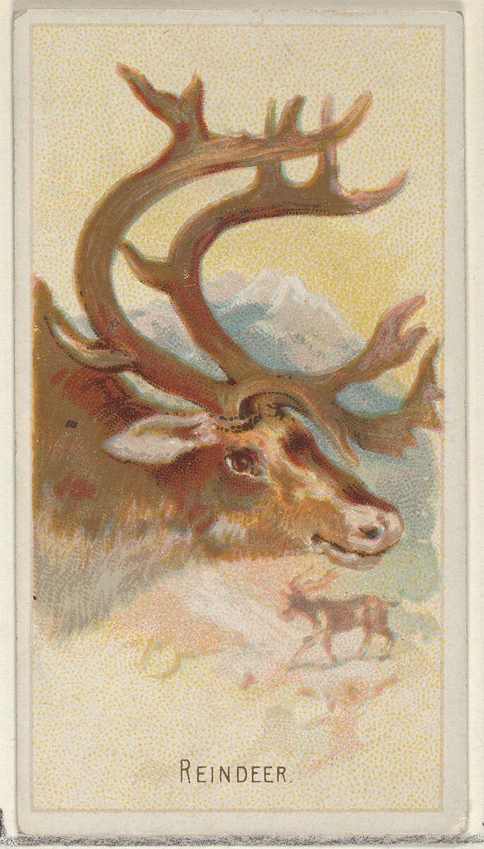 Reindeer, from the Wild Animals of the World series (N25) for Allen & Ginter Cigarettes, Allen &amp; Ginter (American, Richmond, Virginia), Commercial color lithograph 