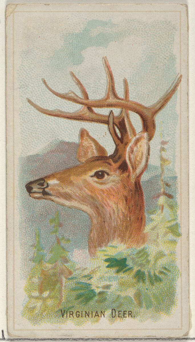 Virginian Deer, from the Wild Animals of the World series (N25) for Allen & Ginter Cigarettes, Allen &amp; Ginter (American, Richmond, Virginia), Commercial color lithograph 
