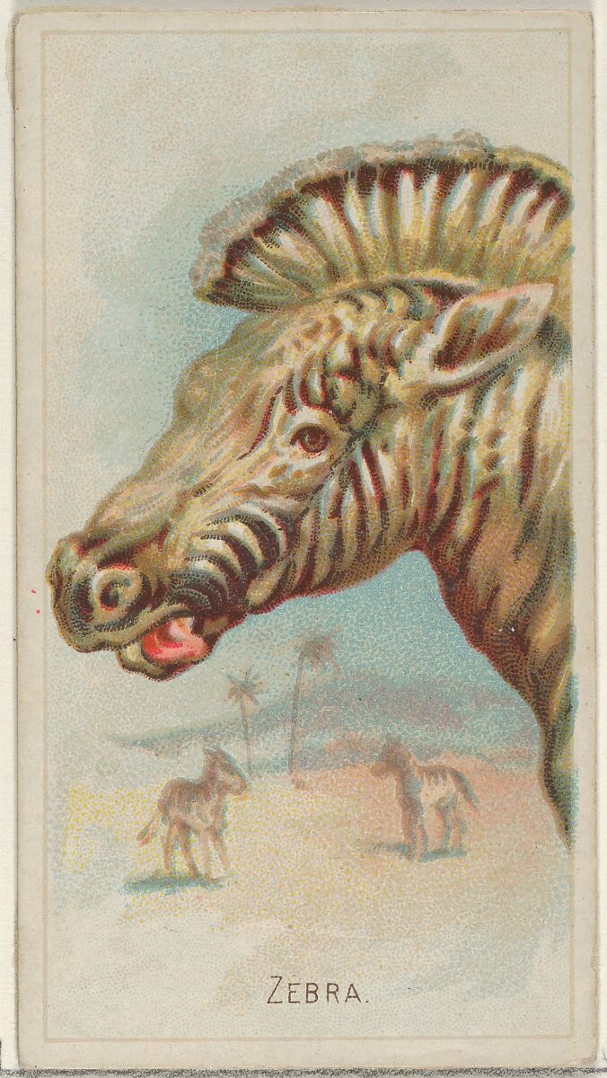 Zebra, from the Wild Animals of the World series (N25) for Allen & Ginter Cigarettes, Allen &amp; Ginter (American, Richmond, Virginia), Commercial color lithograph 