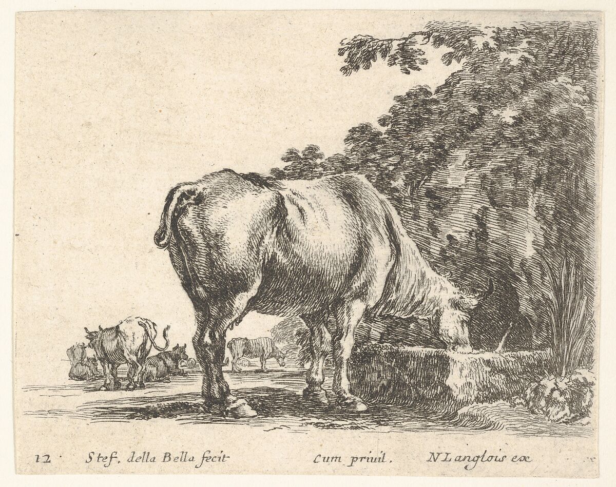 Plate 12: a cow drinking from a stone trough, other cows to left in background, from 'Diversi capricci', Stefano della Bella (Italian, Florence 1610–1664 Florence), Etching; third state of four (De Vesme) 