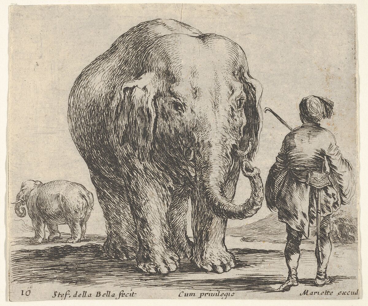 Plate 16: an elephant in center, his mahout standing to the right wearing an Oriental costume, another elephant to left in background, from 'Diversi capricci', Stefano della Bella (Italian, Florence 1610–1664 Florence), Etching; fourth state of four (De Vesme) 