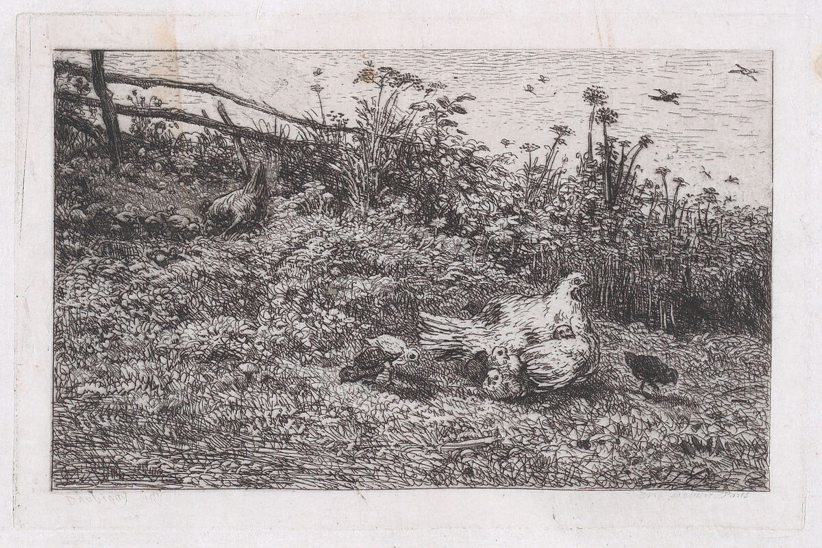 Le Poule et ses Poussins, Charles-François Daubigny (French, Paris 1817–1878 Paris), Etching; fourth state of four (Delteil)