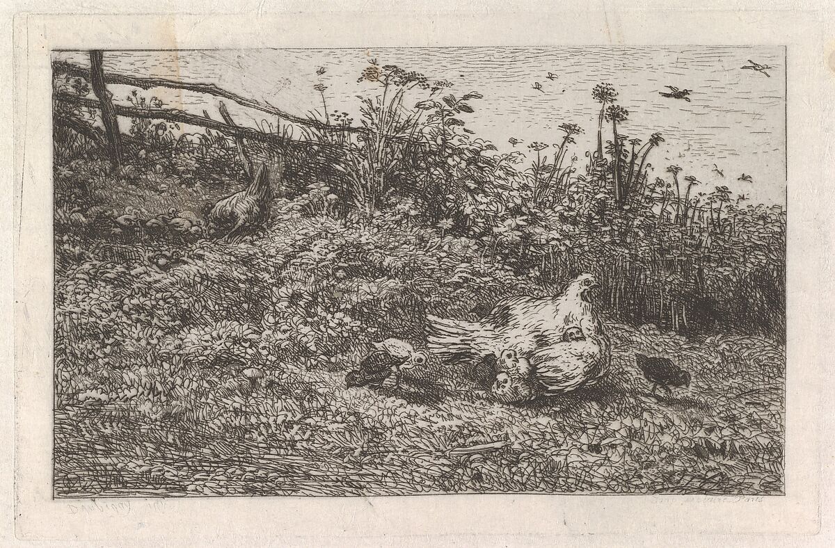 Le Poule et ses Poussins, Charles-François Daubigny (French, Paris 1817–1878 Paris), Etching; fourth state of four (Delteil) 