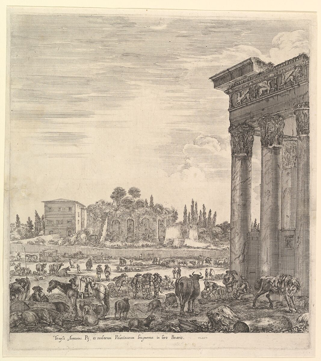 The columns of the Temple of Antoninus to right, a part of the Campo Vaccino in center and at left, along with various animals and figures, the Palatine ruins in the background, from 'Six large views, four of Rome, and two of the Roman countryside' (Six grandes vues, dont quatre de Rome et deux de la Campagne romaine), Stefano della Bella (Italian, Florence 1610–1664 Florence), Etching 