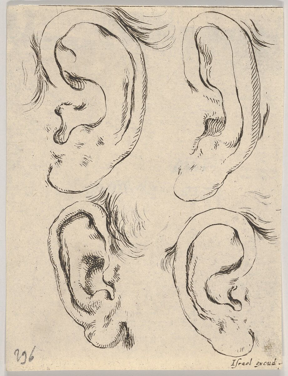 Plate 5: four ears, from 'The Book for Learning to Draw' (Livre pour apprendre à dessiner), Stefano della Bella (Italian, Florence 1610–1664 Florence), Etching 