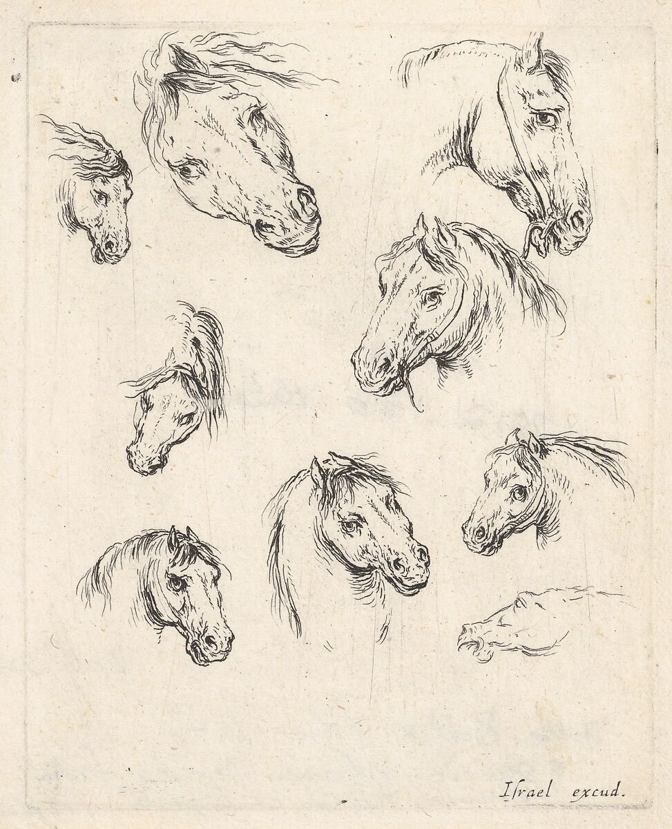 Plate 17: nine studies of horse heads, from 'Various heads and figures' (Diverses têtes et figures), Stefano della Bella (Italian, Florence 1610–1664 Florence), Etching 