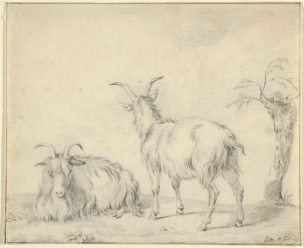 A Standing and a Lying Goat Near a Small Tree