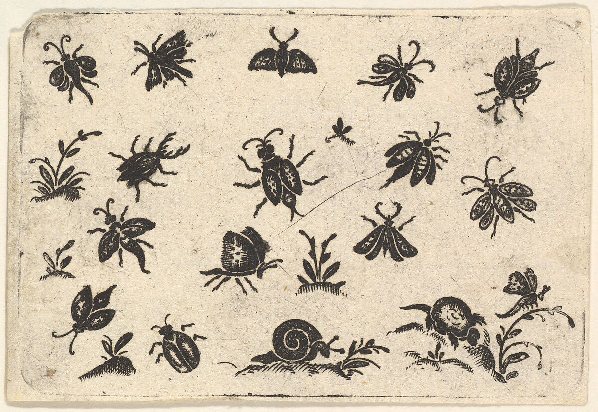 Small Motifs of Insects and Plants, Georg Herman (German, born Ansbach 1579– after 1625), Blackwork and engraving 