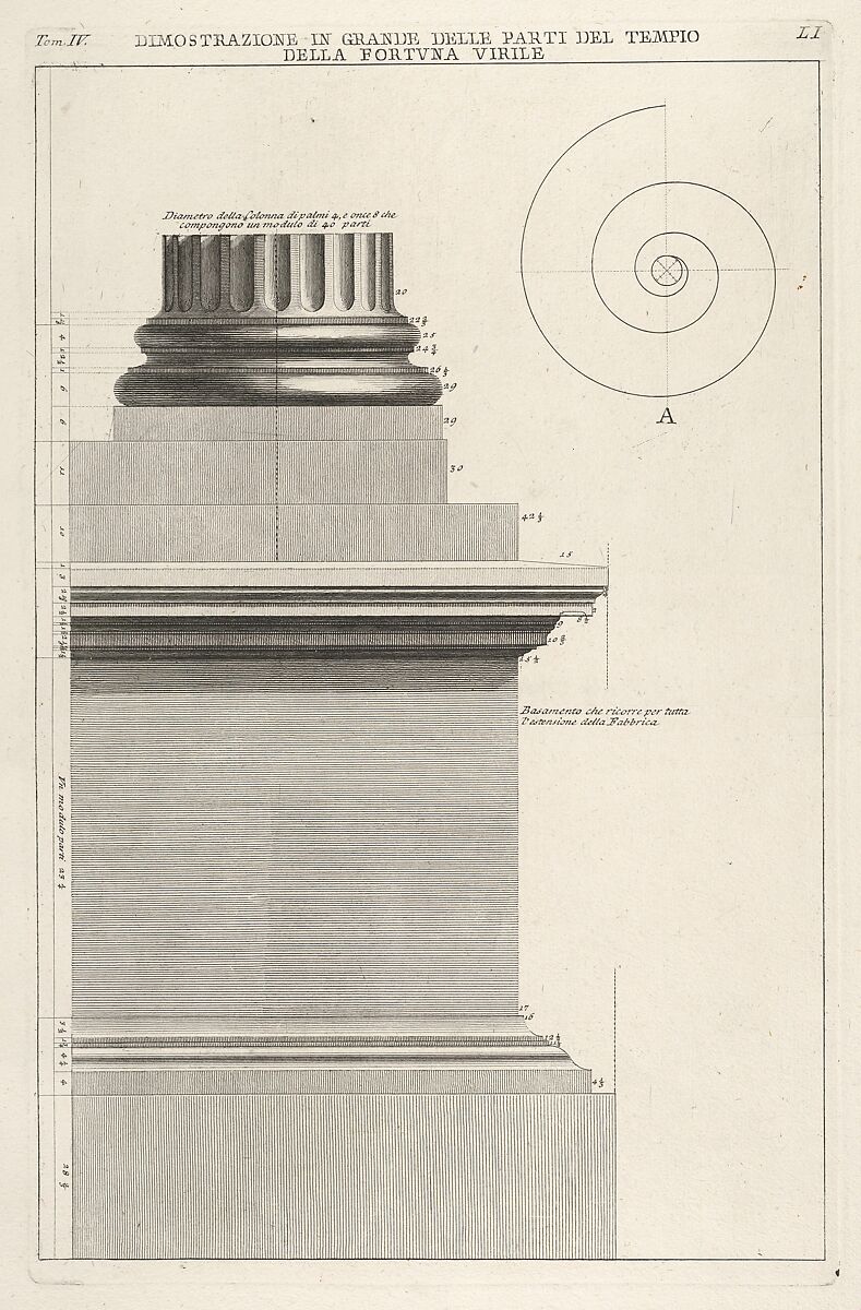 Section of column base from the Temple of Fortuna Virilis (Tempio della Fortuna Virile), from "Le Antichità Romane", Giovanni Battista Piranesi (Italian, Mogliano Veneto 1720–1778 Rome), Etching 