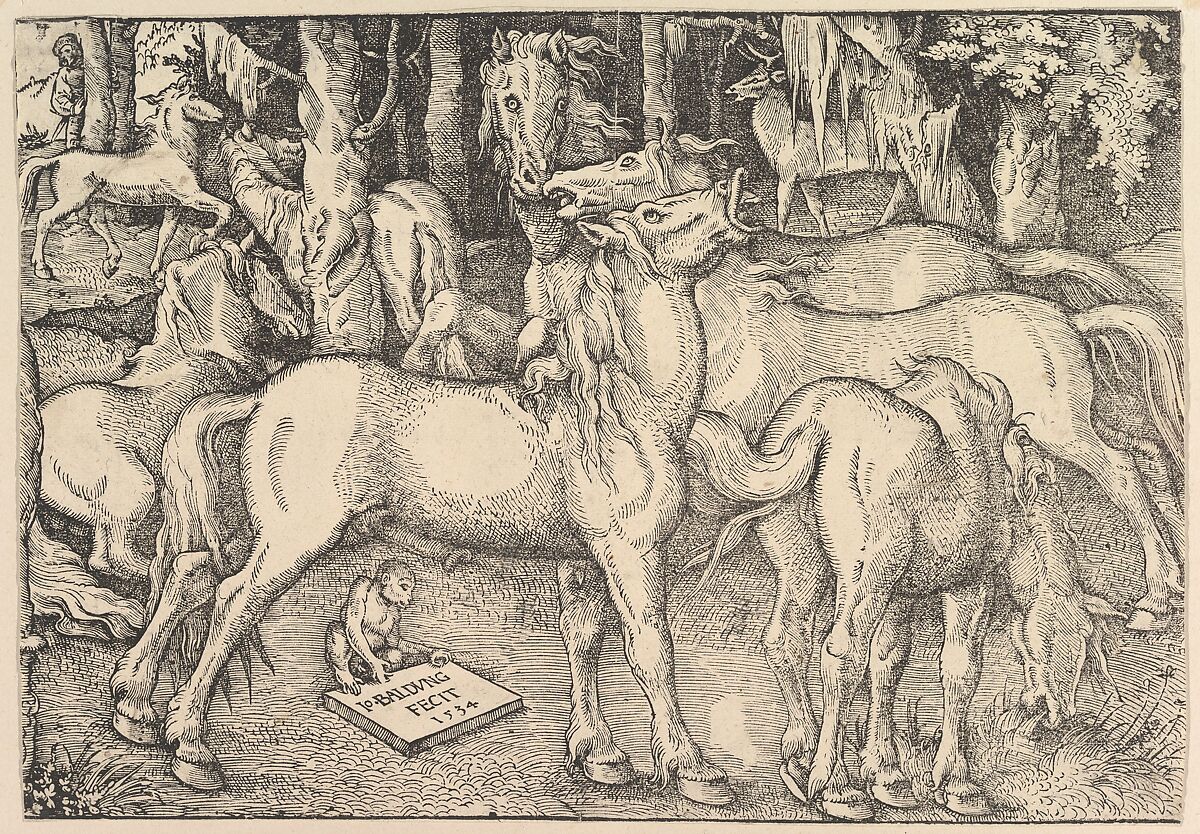 Group of Seven Horses, Hans Baldung (called Hans Baldung Grien) (German, Schwäbisch Gmünd (?) 1484/85–1545 Strasbourg), Woodcut 