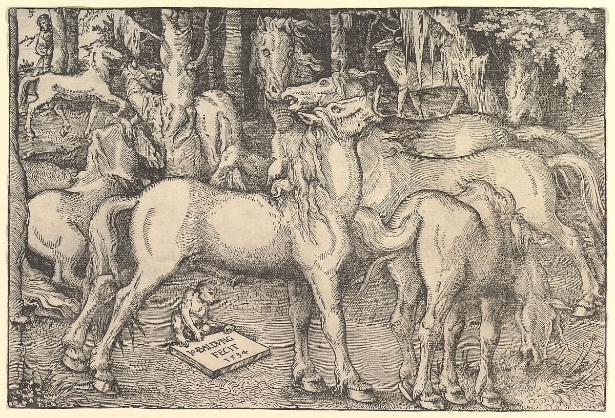 Group of Seven Horses, Hans Baldung (called Hans Baldung Grien) (German, Schwäbisch Gmünd (?) 1484/85–1545 Strasbourg), Woodcut 