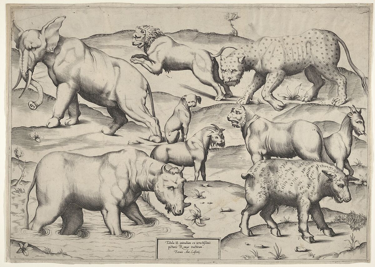 Various Animals, Anonymous, Italian, 16th century, Engraving 