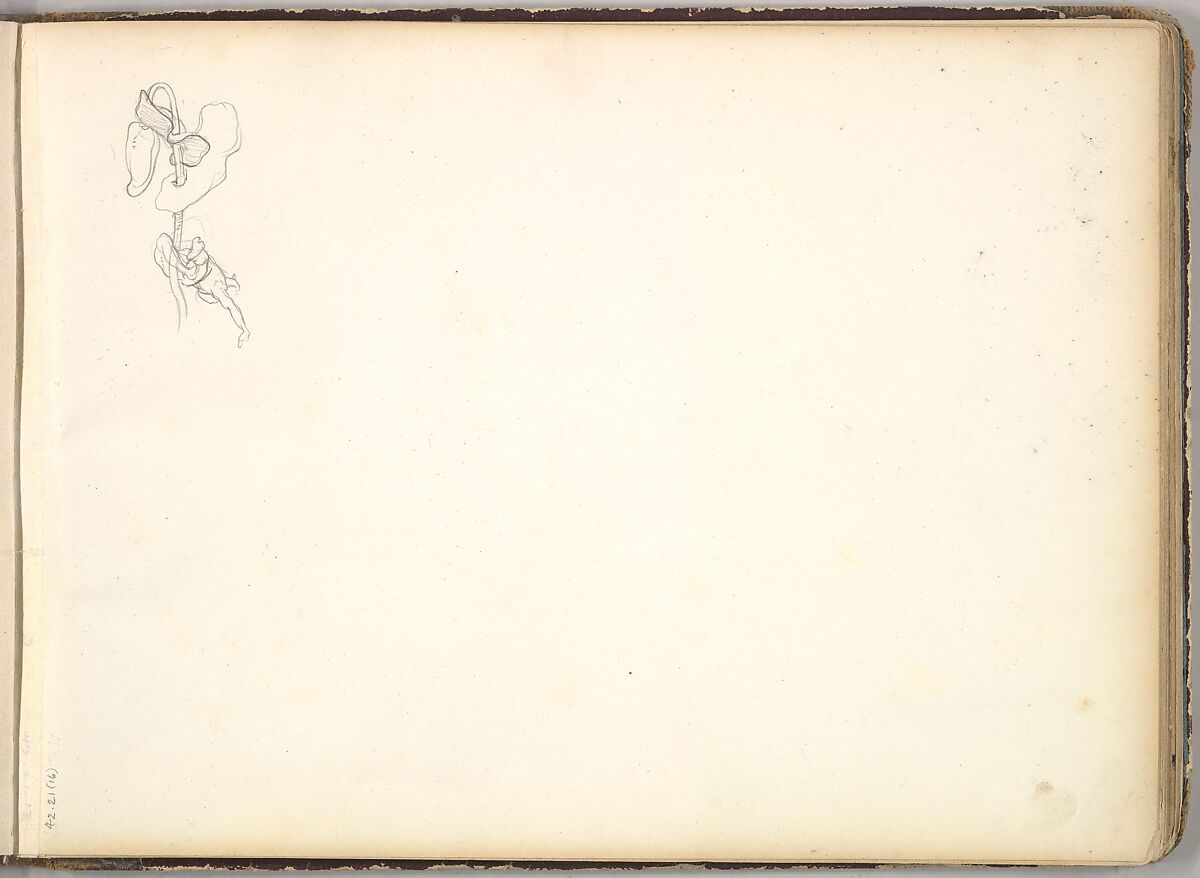 A Flower (in Sketch Book With Drawings on Twenty-six Leaves), Frederic, Lord Leighton (British, Scarborough 1830–1896 London), Graphite 