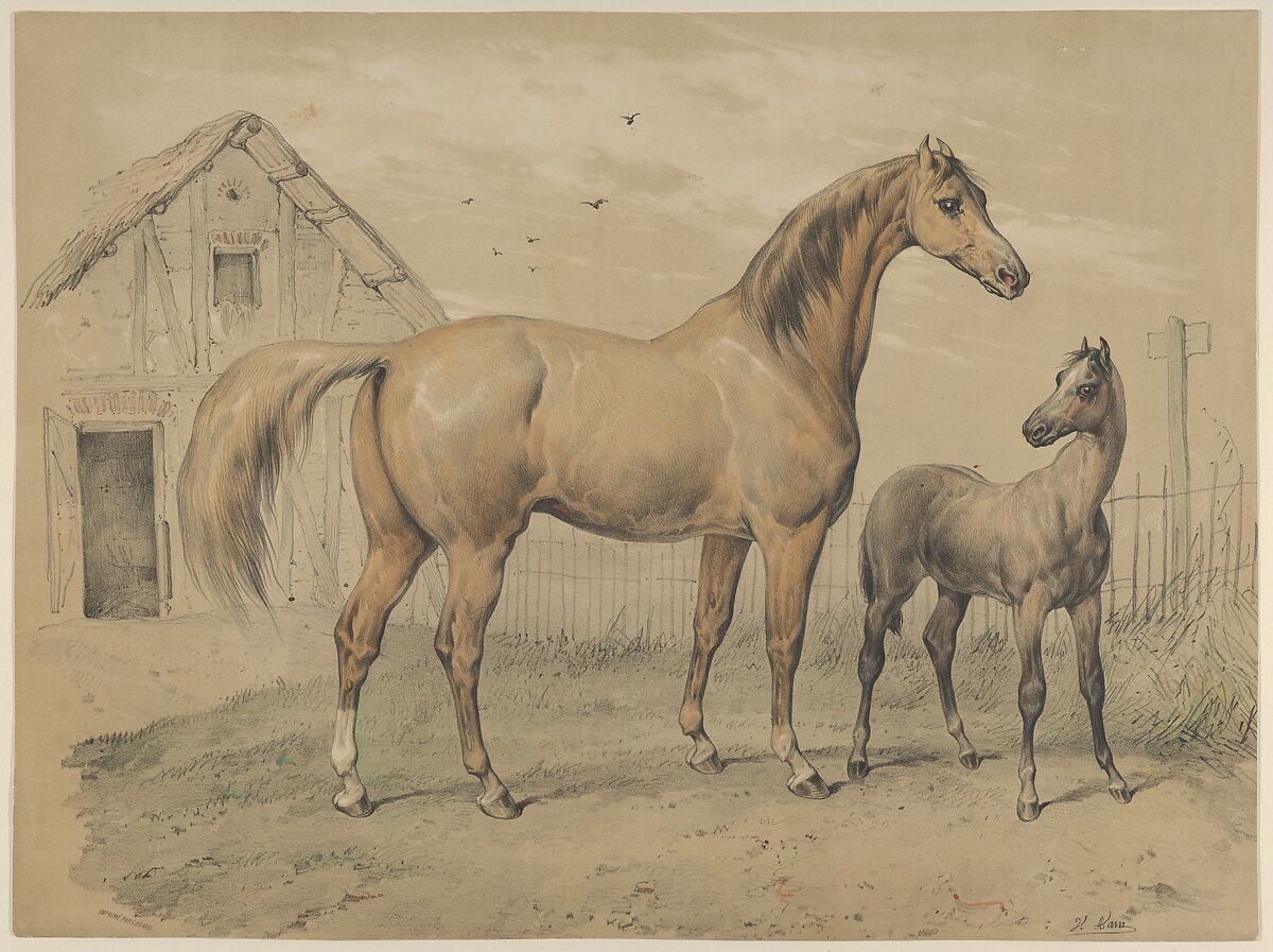 Mare and Foal, Victor Adam (French, 1801–1866), Lithograph, hand-colored 