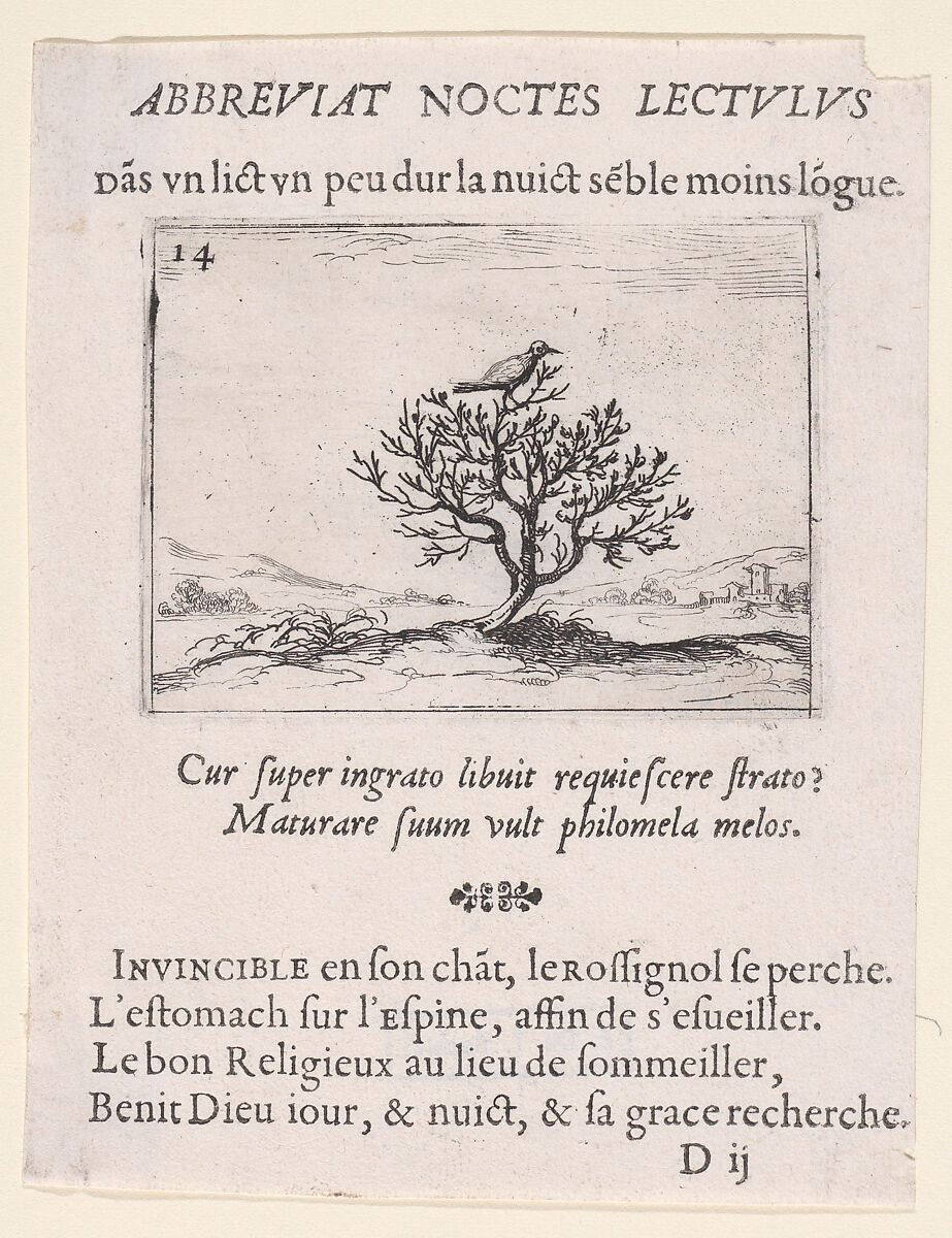 Le Rossignol Posé sur un Buisson (A Nightengale Standing on a Bush), plate 14 from "Lux Claustri ou La Lumière du Cloitre" (The Light of the Cloisters), Jacques Callot (French, Nancy 1592–1635 Nancy), Etching and letterpress; second state of two (Lieure) 