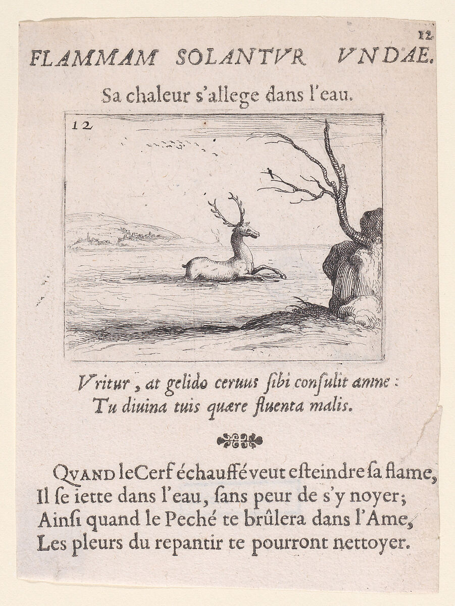 Un Cerf dans l'Eau (A Deer in the Water), plate 12 from "Lux Claustri ou La Lumière du Cloitre" (The Light of the Cloisters), Jacques Callot (French, Nancy 1592–1635 Nancy), Etching and letterpress; second state of two (Lieure) 