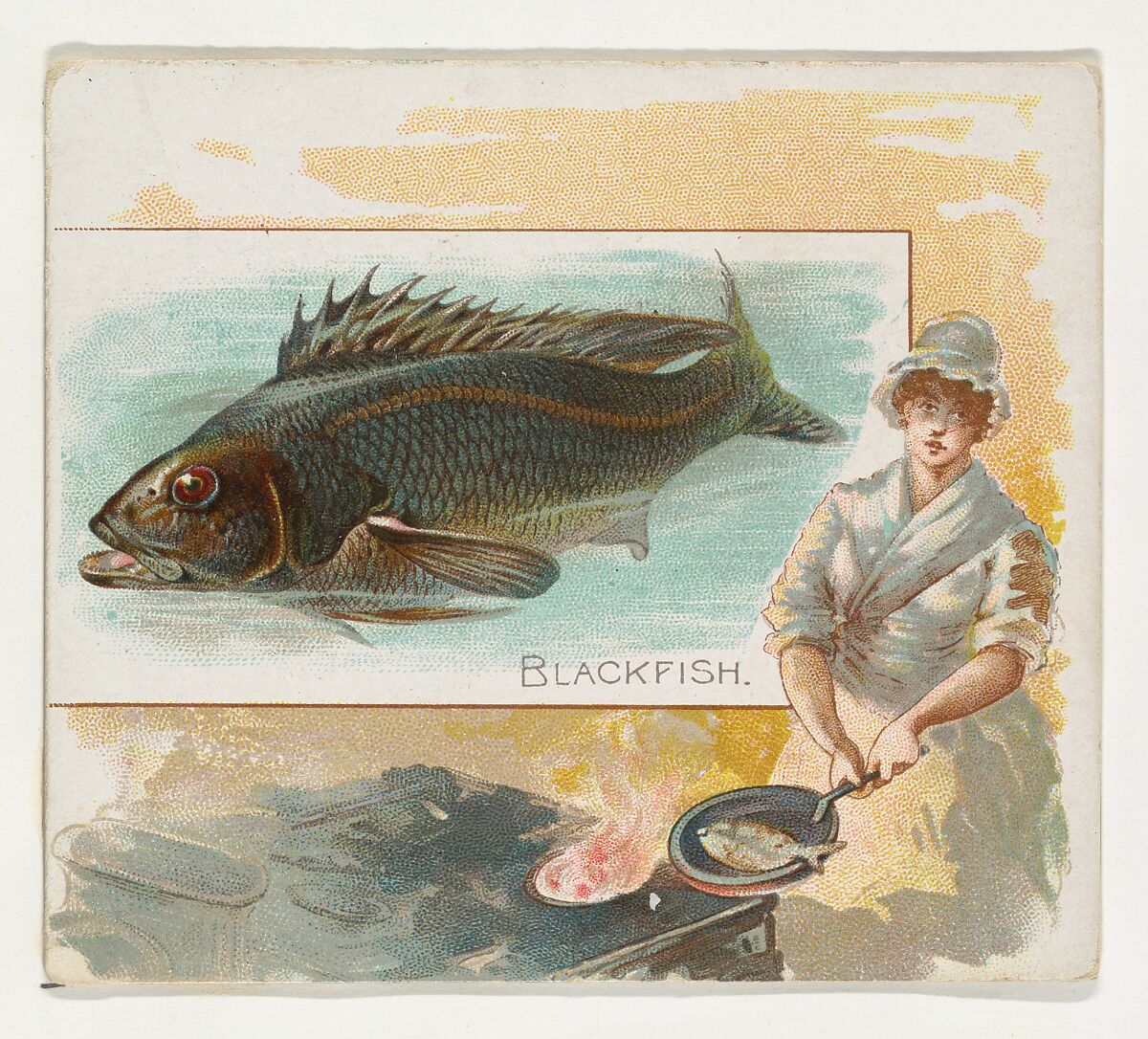 Blackfish, from Fish from American Waters series (N39) for Allen & Ginter Cigarettes, Issued by Allen &amp; Ginter (American, Richmond, Virginia), Commercial color lithograph 