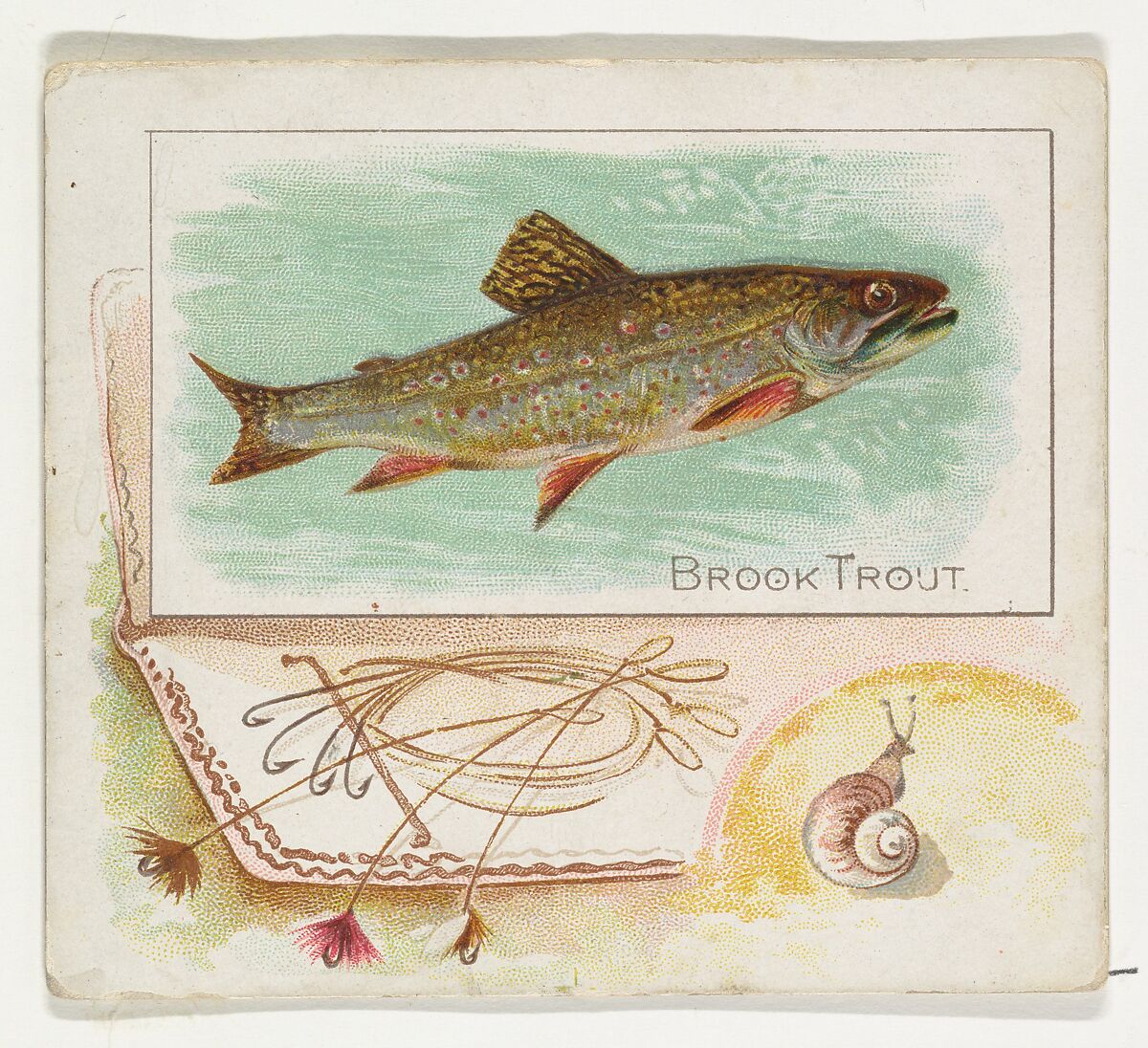 Brook Trout, from Fish from American Waters series (N39) for Allen & Ginter Cigarettes, Issued by Allen &amp; Ginter (American, Richmond, Virginia), Commercial color lithograph 