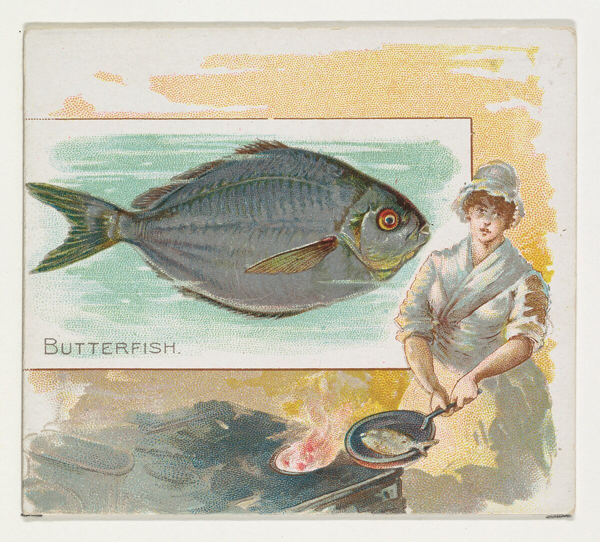 Butterfish, from Fish from American Waters series (N39) for Allen & Ginter Cigarettes, Issued by Allen &amp; Ginter (American, Richmond, Virginia), Commercial color lithograph 