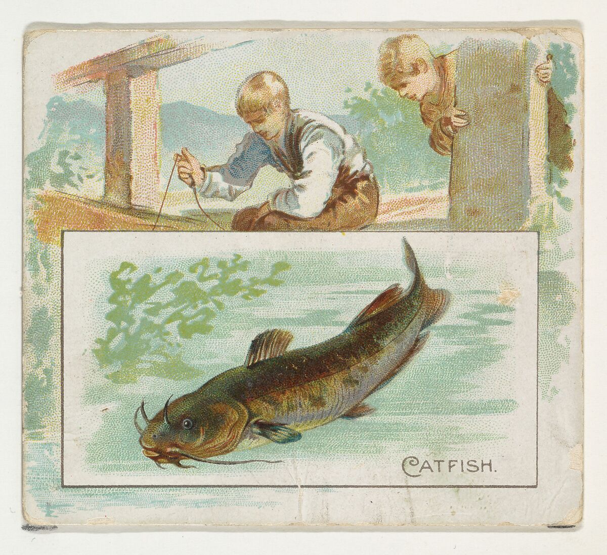 Catfish, from Fish from American Waters series (N39) for Allen & Ginter Cigarettes, Issued by Allen &amp; Ginter (American, Richmond, Virginia), Commercial color lithograph 