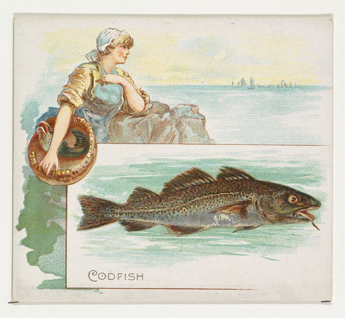 Codfish, from Fish from American Waters series (N39) for Allen & Ginter Cigarettes, Issued by Allen &amp; Ginter (American, Richmond, Virginia), Commercial color lithograph 