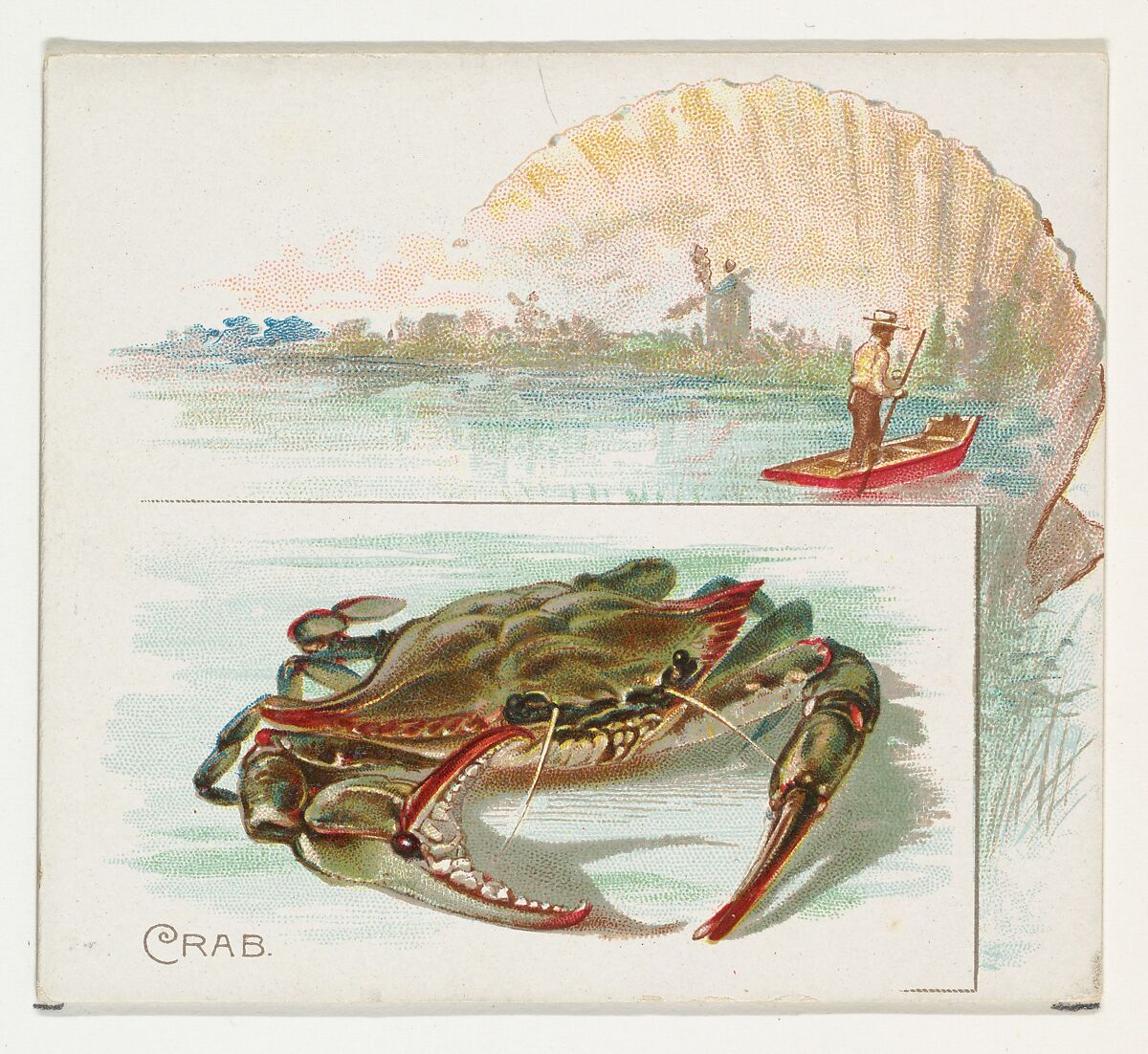 Crab, from Fish from American Waters series (N39) for Allen & Ginter Cigarettes, Issued by Allen &amp; Ginter (American, Richmond, Virginia), Commercial color lithograph 