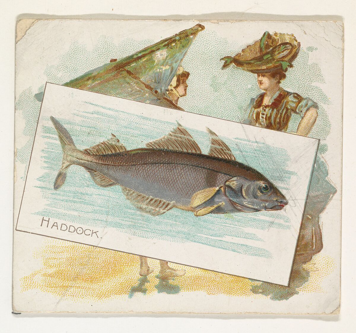 Haddock, from Fish from American Waters series (N39) for Allen & Ginter Cigarettes, Issued by Allen &amp; Ginter (American, Richmond, Virginia), Commercial color lithograph 