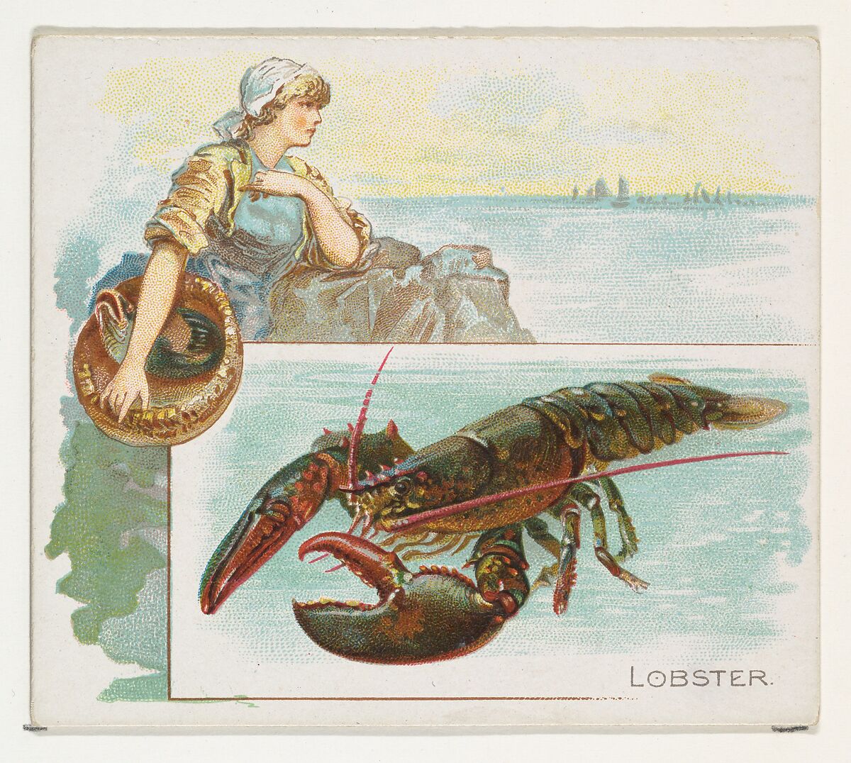 Lobster, from Fish from American Waters series (N39) for Allen & Ginter Cigarettes, Issued by Allen &amp; Ginter (American, Richmond, Virginia), Commercial color lithograph 