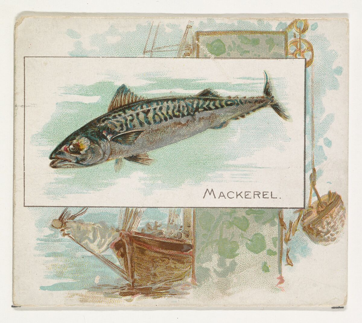 Mackerel, from Fish from American Waters series (N39) for Allen & Ginter Cigarettes, Issued by Allen &amp; Ginter (American, Richmond, Virginia), Commercial color lithograph 