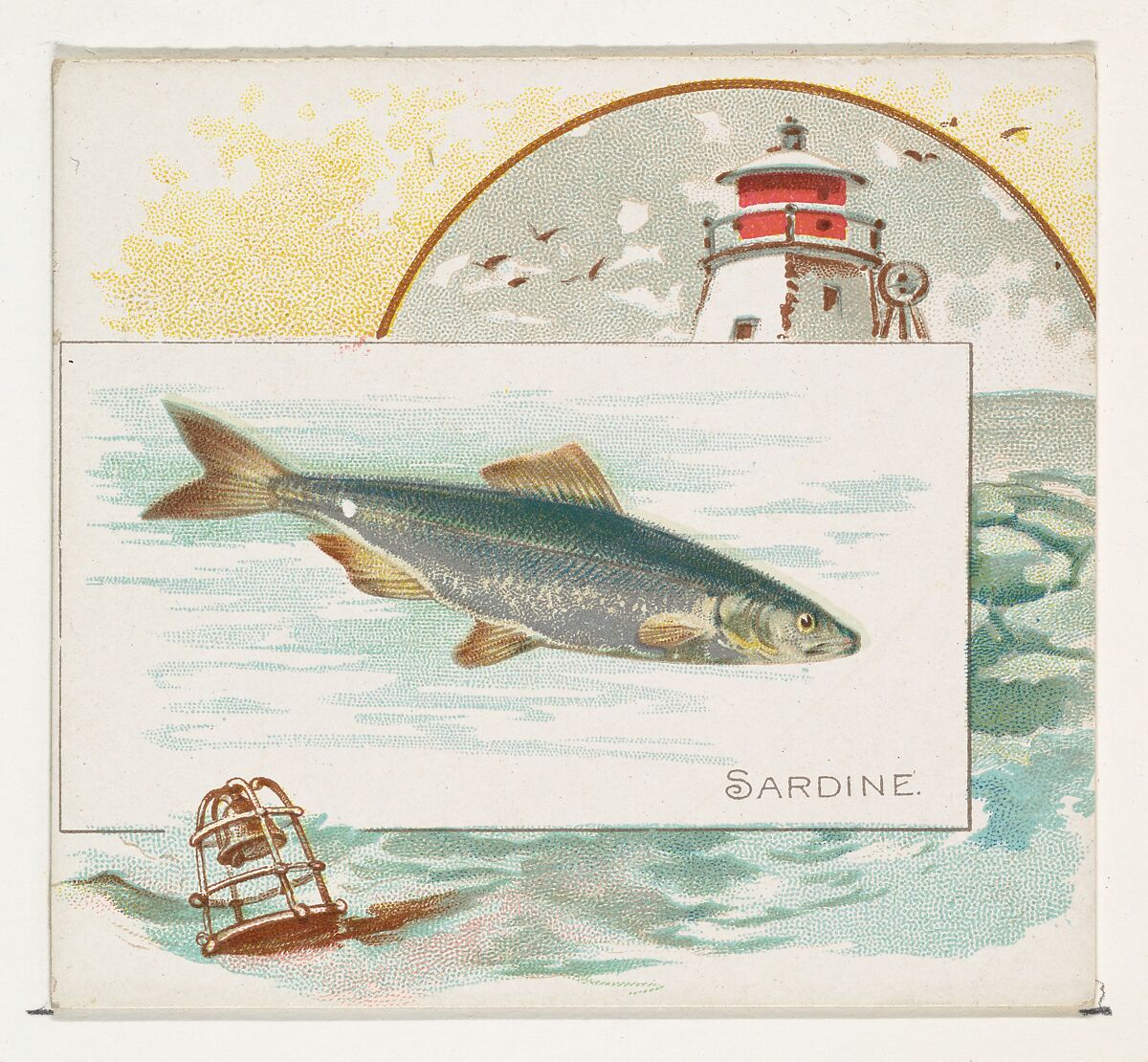 Sardine, from Fish from American Waters series (N39) for Allen & Ginter Cigarettes, Issued by Allen &amp; Ginter (American, Richmond, Virginia), Commercial color lithograph 