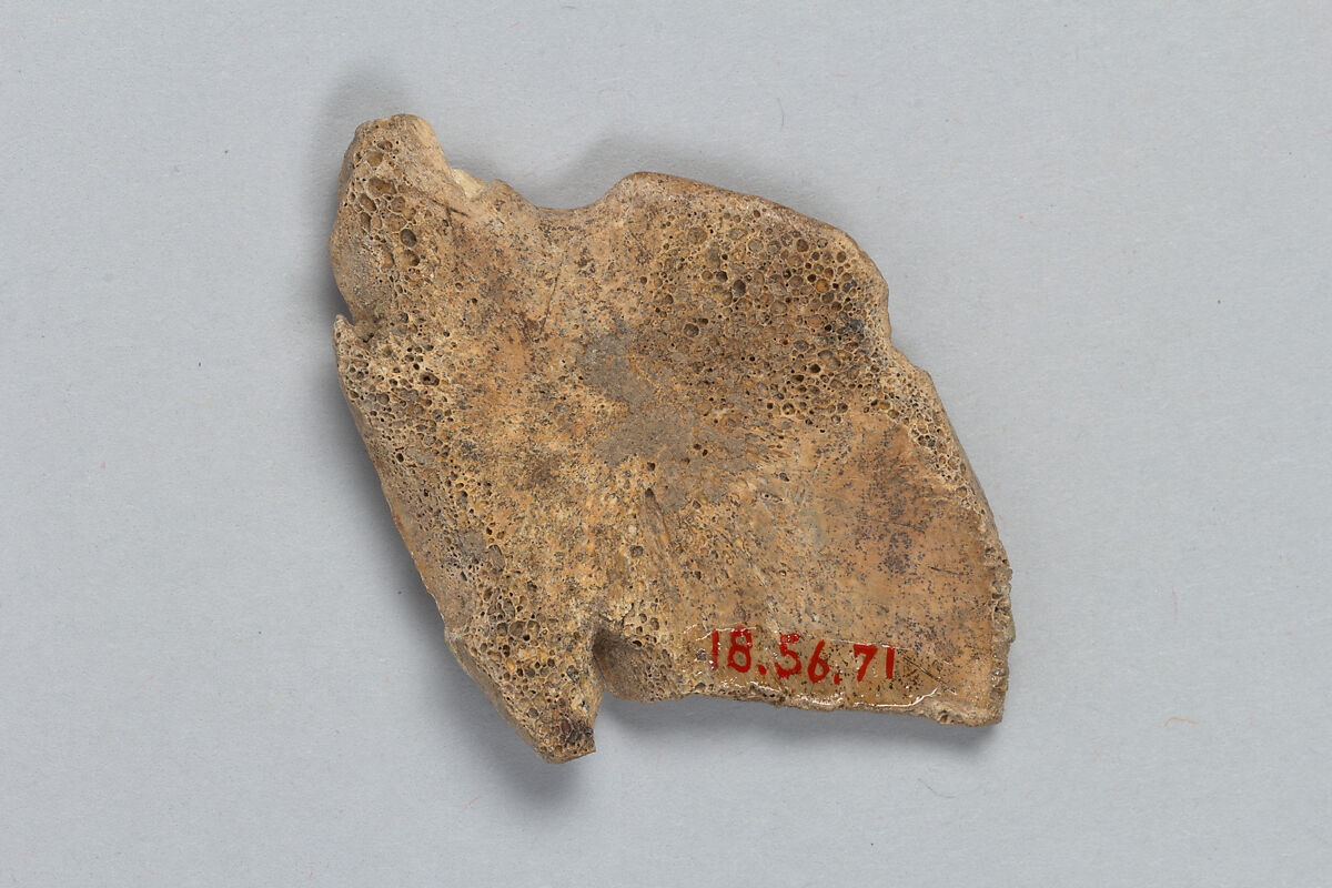 Oracle Bone Fragment, Bone, China