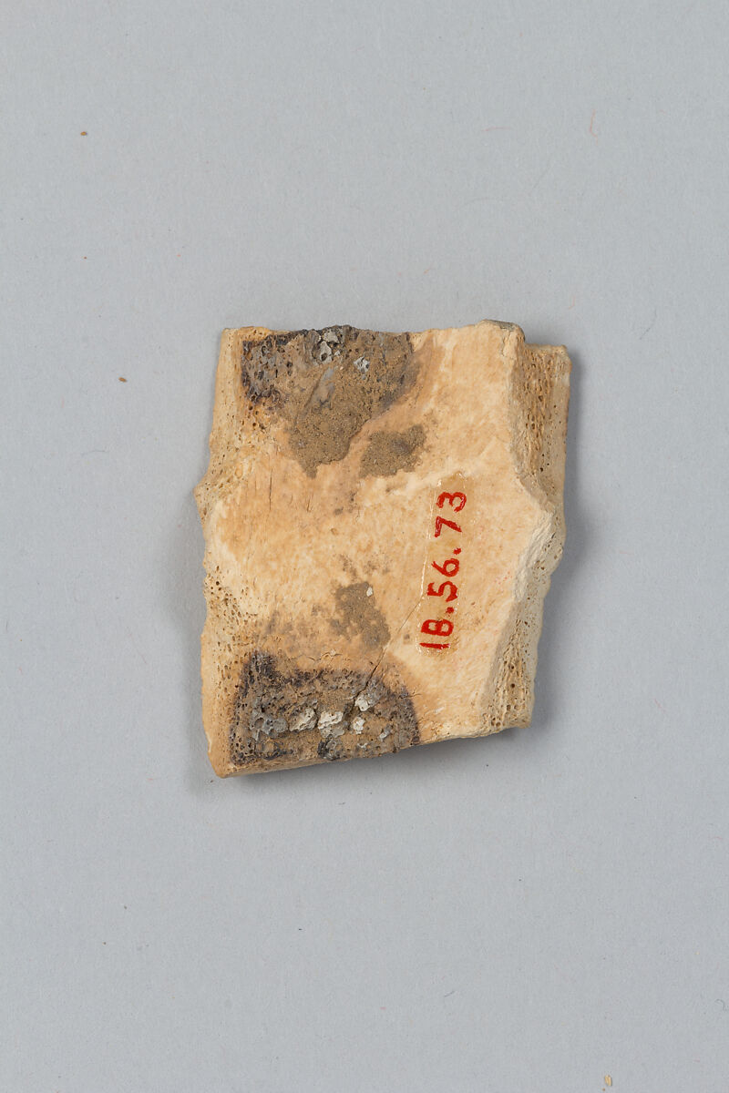 Oracle bone fragment, Bone, China